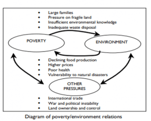 How poor people can affect the environment and policy recommendations?