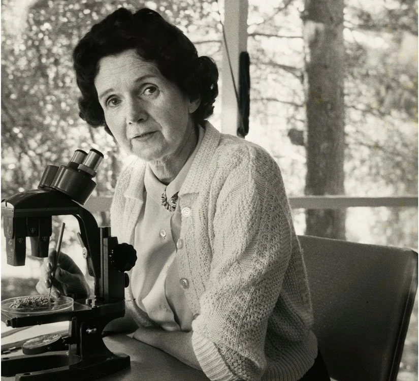 Rachel Carson and medical research
